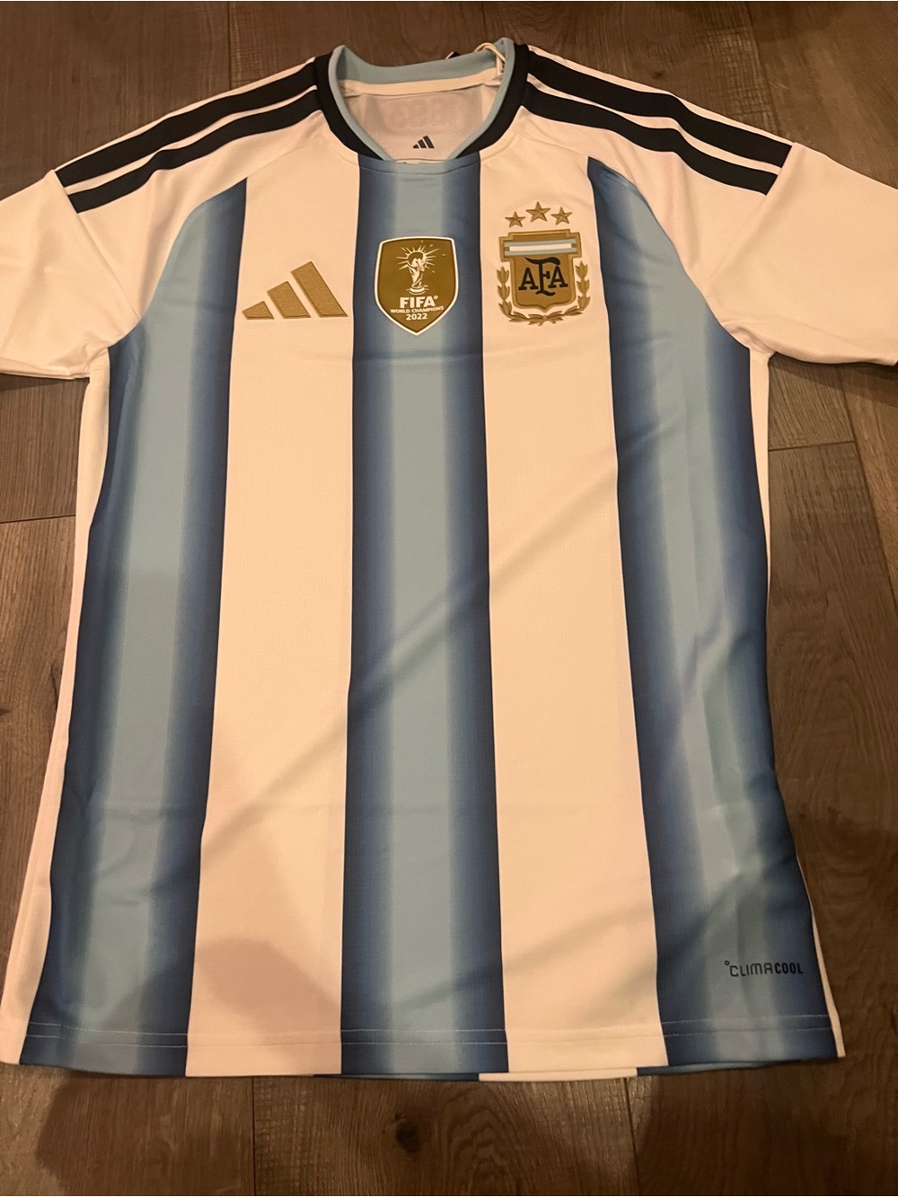 adidas Argentina National Team Jersey - Light Blue & White with Gold Accents